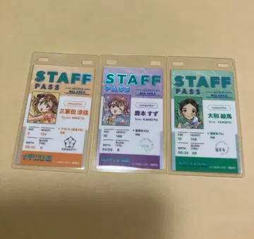 메달리스트전 스태프 패스 3점