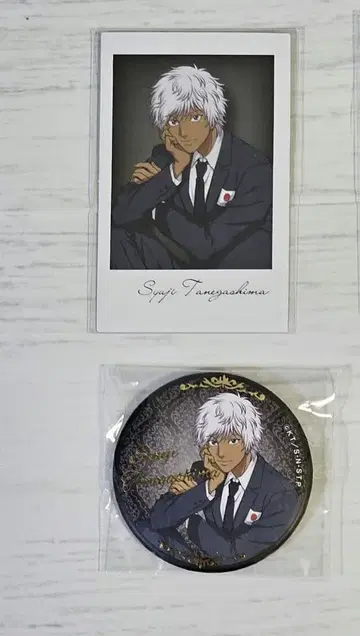 신 테니스의 왕자님 대표 수트ver. 타네가시마 슈지 주가이 광업