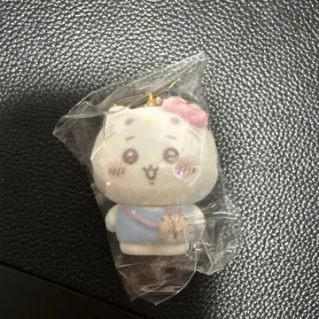 치이카와 & 산리오 시크릿 플로키 마스코트 참