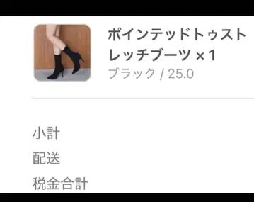 랜디 스틸레토 스트레치 부츠 블랙 힐