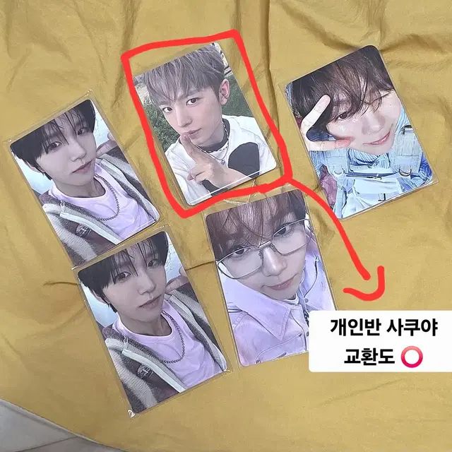 엔시티위시 컬러 쥬얼 앨범 유우시 재희 료 송버드 개인반 포카