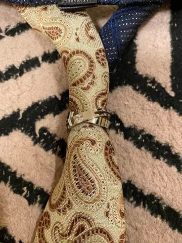 BRICK HOUSE 페이즐리 무늬 넥타이