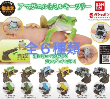 생물대도감 손가락말이 컬렉션 청개구리와 밀키 트리 [전 6종]