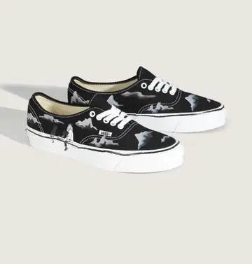 VANS x 꽃 YUSUKE HANAI AUTHENTIC