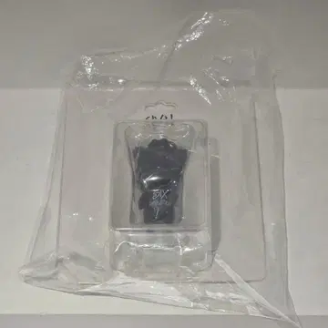 sooya studio 6주년 cat Ban 블리스터 패키지 고양이