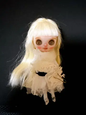 미니 브라이스 커스텀 작가님