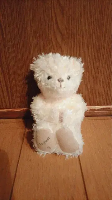 곰 봉제 인형 벌스데이 베어