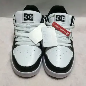 DC Shoes 캐주얼 스니커즈 DC SHOES CURE SN WLK