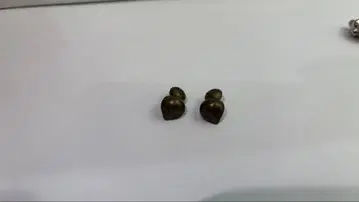 포켓몬 메탈 컬렉션 푸치쨩 (지라치 코어) 2개