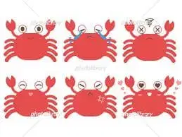 DVD 오페라 컬렉션 보리스 고두노프