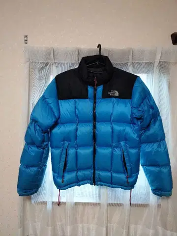 The North Face 서밋 시리즈 800 FIL 다운