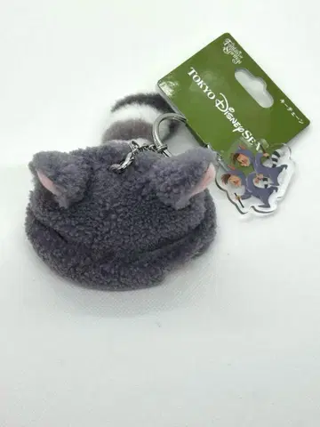 도쿄 디즈니 씨 피터팬 키링 아라이 팬캡