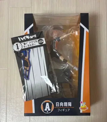 하이큐!! Happy 복권 A상 히나타 쇼요