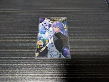 노스탤지어 컬렉션 폴라로이드 별빛 쇼