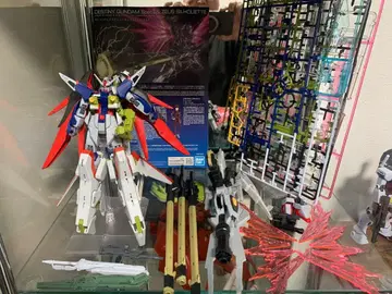 HG 데스티니 건담 SpecII & 제우스 실루엣 박스 포함