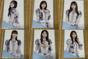 [당일 발송] 노기자카46 엽서 쿠보 시오리 졸업 콘서트 특전 묶음 판매