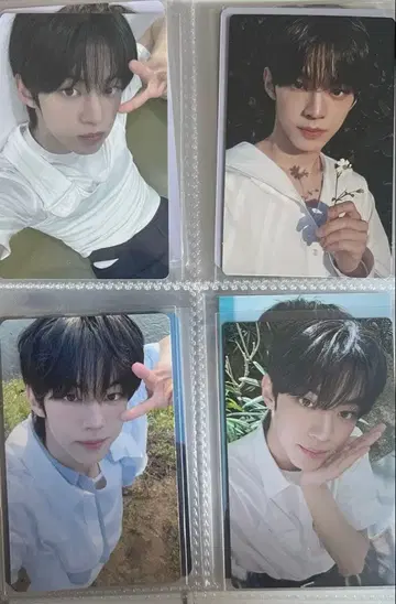 tws 도훈 트레이딩 카드