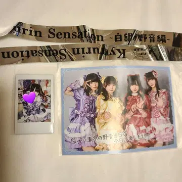 큐루링 해봐 야외음악당 입장 혜택 타마야네 폴라로이드 은색 테이프