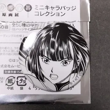 히카루의 바둑 원화전 미니 캐릭터 배지 컬렉션 토우야 아키라