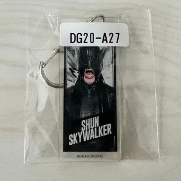 드래곤 게이트 슌 스카이워커