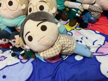 BIG 누워있는 봉제 인형 Tinytan 정국