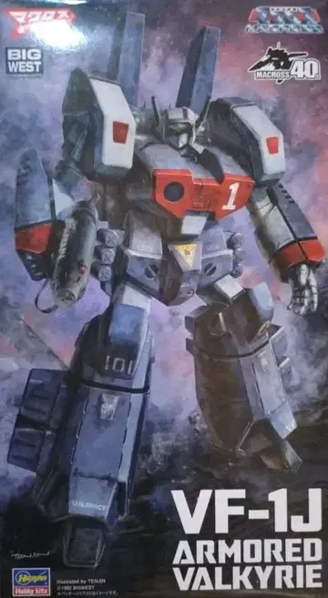 VF-1J 아머드 발키리 하세가와 1/72 스케일 미조립
