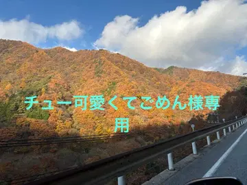 츄 귀여워서 미안해 님 요청 3점