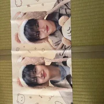 보물 도영 슬로우 트레이딩 카드