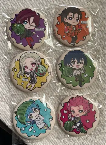 카리스마 캔뱃지 6개 세트