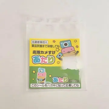 카프리코 씰 응원 거북이