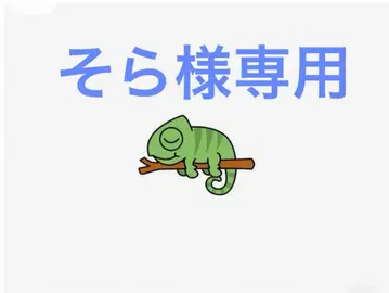 핸드메이드 카멜레온 립 케이스