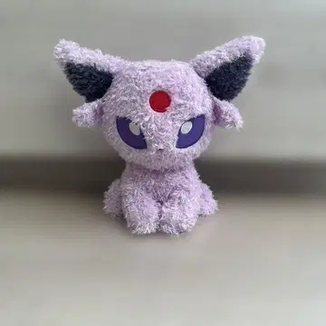 에브이 포근포근 봉제 인형 세키구치