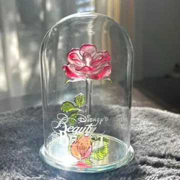 Disney B&B ROSE DOME