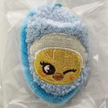 Stray Kids 스키즈 온라인 복권 D상 슬리퍼 포가리 필릭스