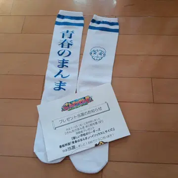 청춘의 만마 양말