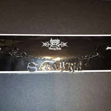 straykids dominate japan 키링 A