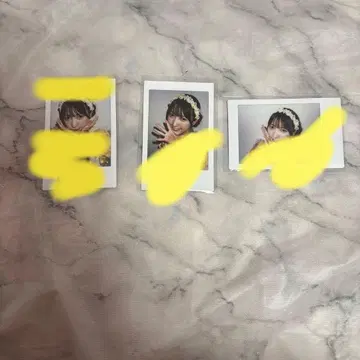 SWEET STEADY 야마우치 사키나 폴라로이드