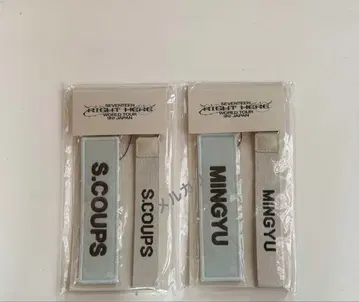 스트랩 라이트히아