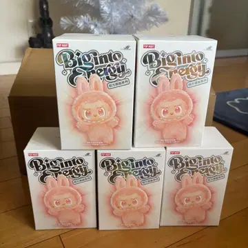 Biginto energy 라브브 5세트