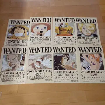 당시물 원피스 ONEPIECE 수배서 포스터