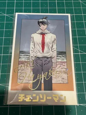 체인소 맨 덴지의 메모리얼 컬렉션 하야카와 아키 A