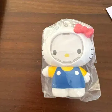 사진 프레임 마스코트 키티