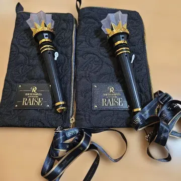 도모토 코이치 응원봉 RAISE 2025 콘서트 2개 세트