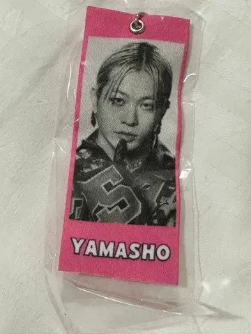 야마모토 쇼고 메지루시 태그