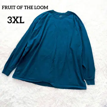 프룻 오브 더 룸 T 3XL 블루 남성용 긴팔 티셔츠 6027