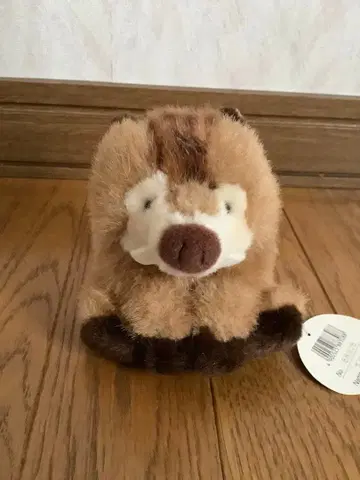 레트로 조이풀 메이트 사파리 동료 봉제 인형 아기 멧돼지 멧돼지