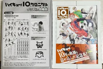 하이큐 크로니클