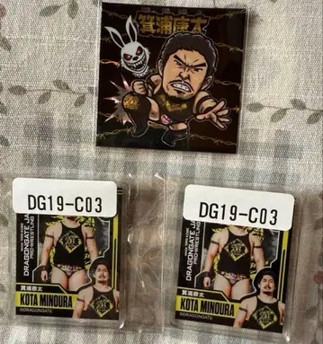 드래곤 게이트 미노 코타 묶음 판매