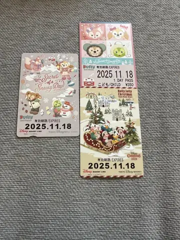 디즈니 리조트 라인 프리 티켓 세트 미사용 기간 만료