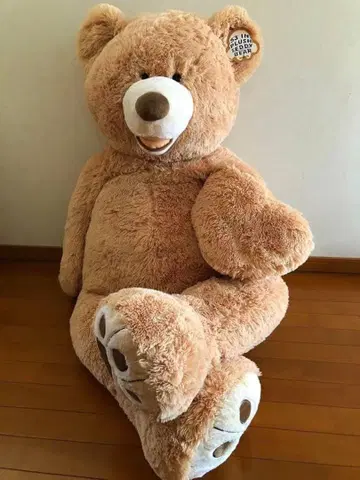 코스트코 곰 봉제 인형